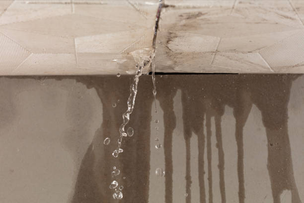 Professional Water Extraction technician working in Fyffe, AL